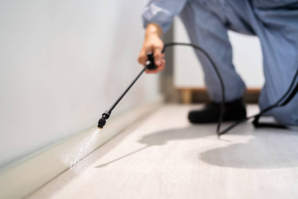 Licensed Pest Control service in Zephyrhills West, FL - Show Me Pest Control