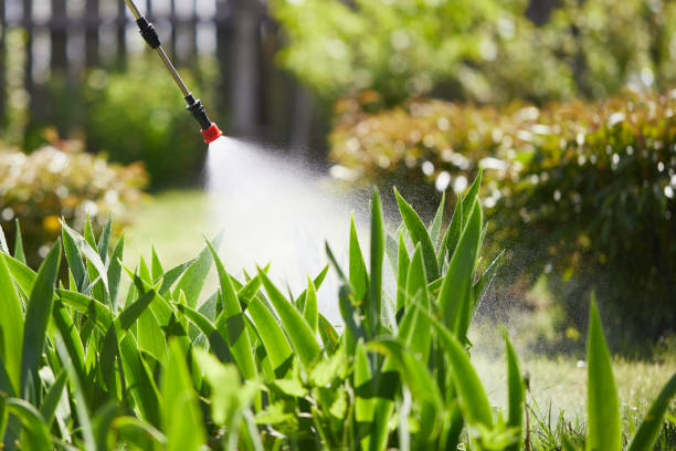 24/7 Emergency Wasp Removal experts in Zephyrhills West, FL
