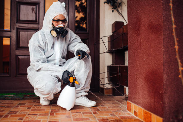 Reliable Wasp Removal contractor in Zephyrhills West, FL by Show Me Pest Control
