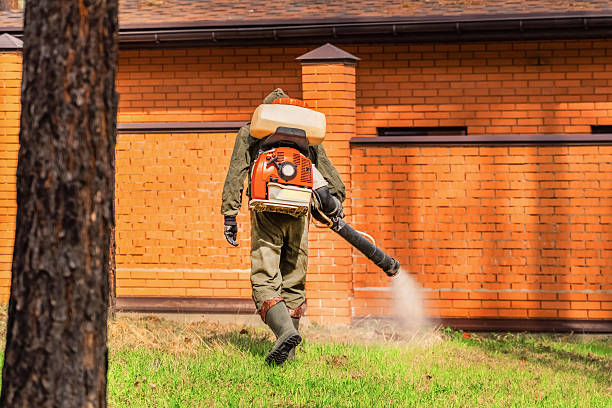 Top rated local Wasp Removal specialists in Zephyrhills West, FL